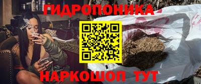 эйфоретик Заводоуковск