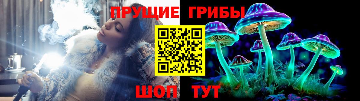 Псилоцибиновые грибы GOLDEN TEACHER Вольск