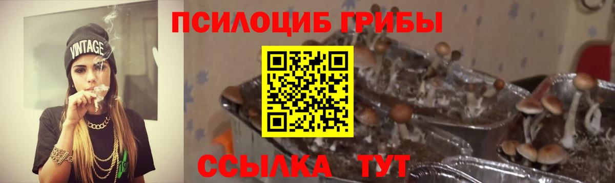 Вольск  Псилоцибиновые грибы мухоморы  Вход с VPN  Галлюциногенные грибы Cubensis 